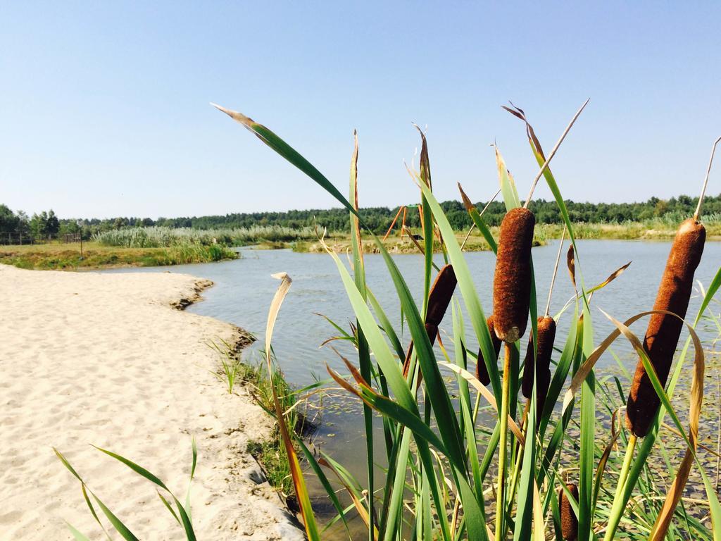 Obok Lasu Grebiszew Esterno foto